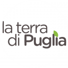 LA TERRA DI PUGLIA